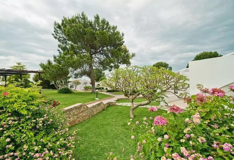 Fotos del hotel The Olive Tree:  12