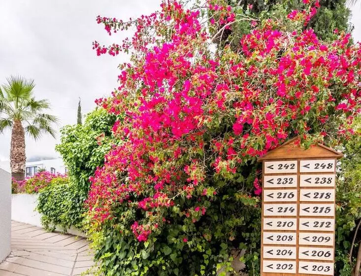 Fotos del hotel The Olive Tree:  2