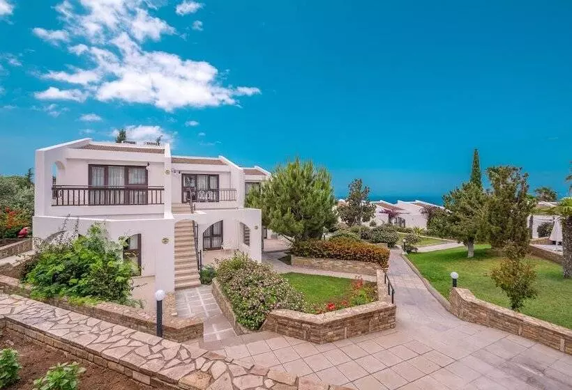 Fotos del hotel The Olive Tree:  3