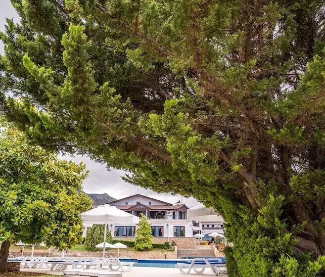 Fotos del hotel The Olive Tree:  8