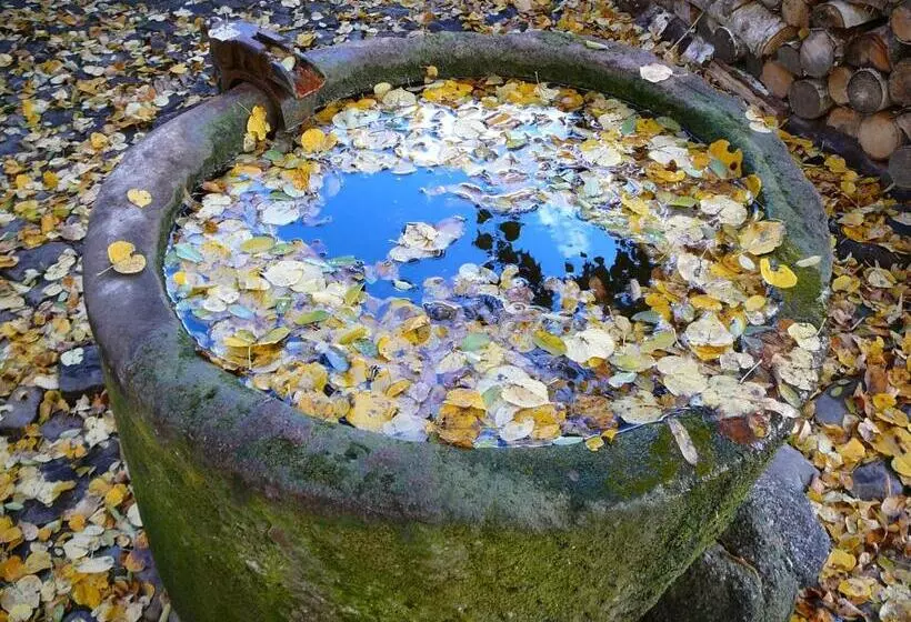 Fotos del hotel Romantik  U Raka:  9