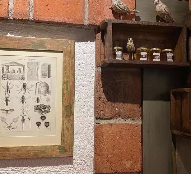 Fotos del hotel Romantik  U Raka:  17