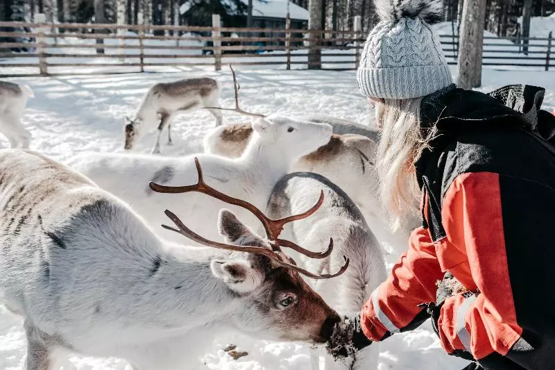Fotos del hotel Lapland Hotels äkäshotelli:  24