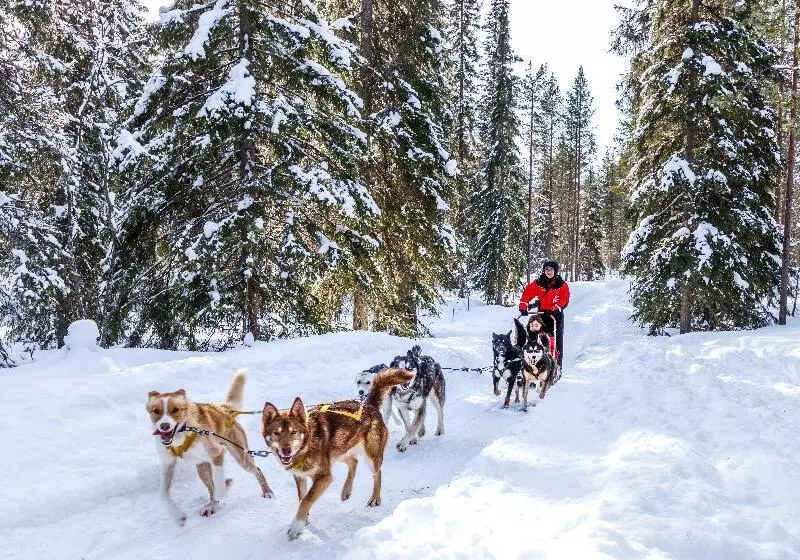 Fotos del hotel Lapland Hotels äkäshotelli:  11