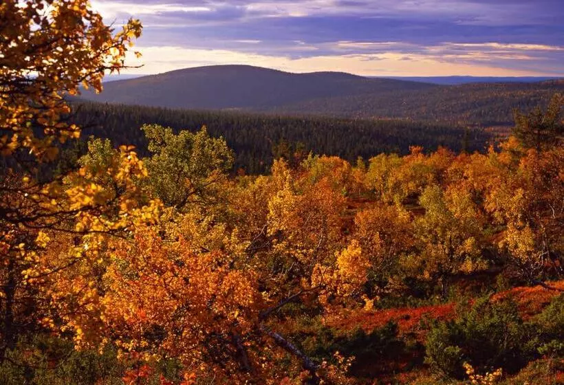 Fotos del hotel Lapland Hotels Ylläskaltio:  7