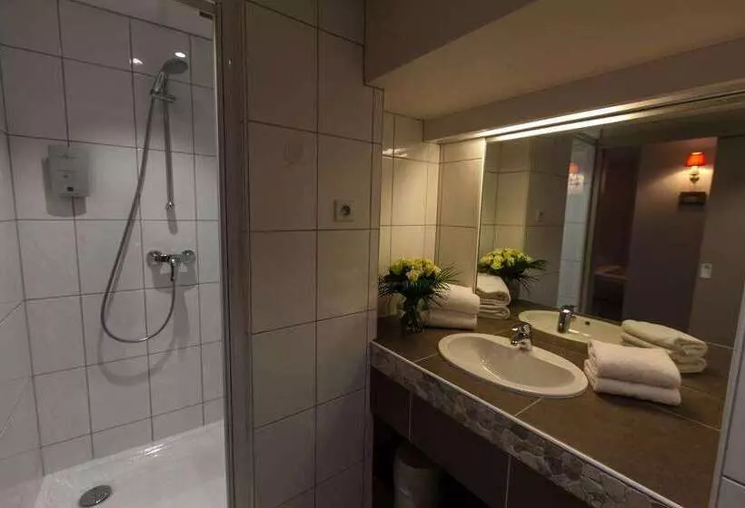 Fotos del hotel Brit Hotel Bristol Montbéliard Centre:  17