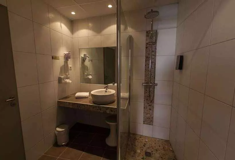 Fotos del hotel Brit Hotel Bristol Montbéliard Centre:  5