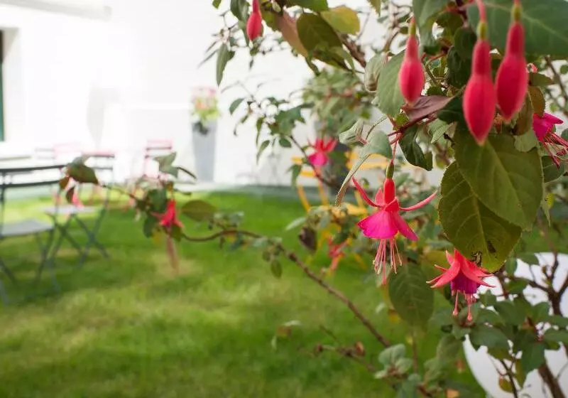 Fotos del hotel Hôtel Des Batignolles:  8