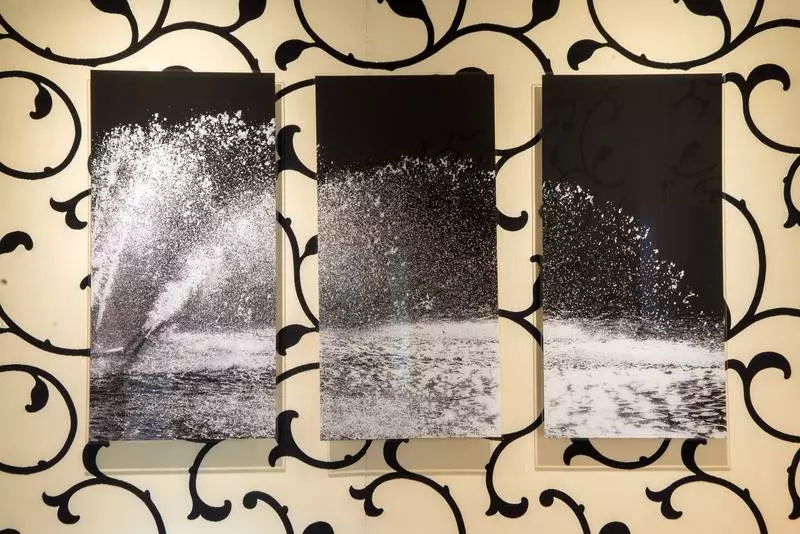 Fotos del hotel Etoile Park:  9