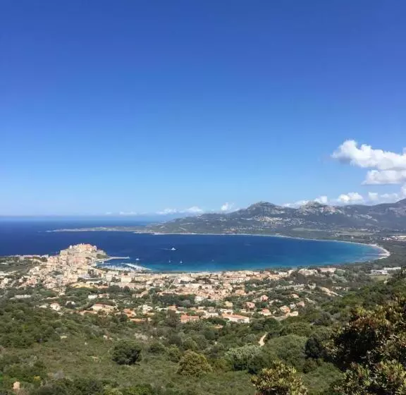 Fotos del hotel Grand Hôtel De Calvi:  6