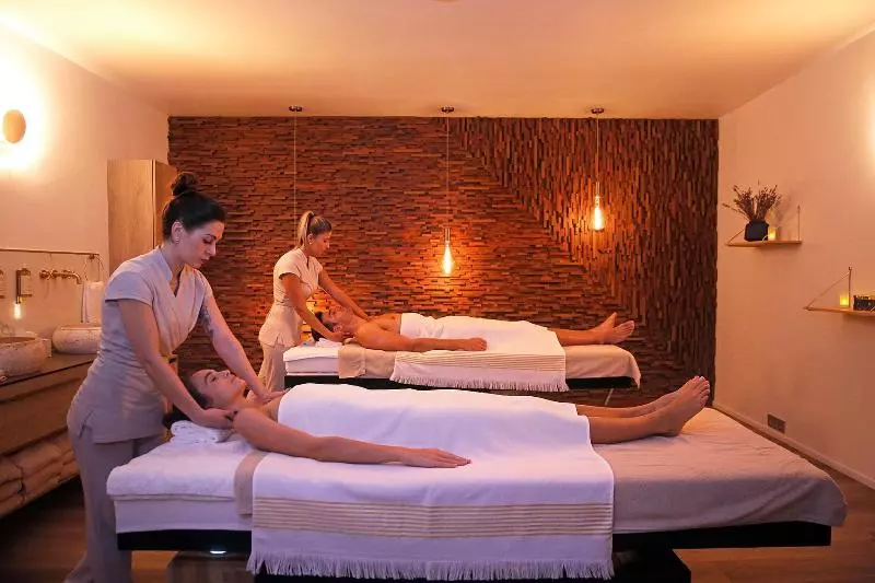 Fotos del hotel Negrecoste Hôtel & Spa:  7