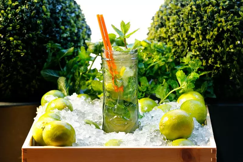 Fotos del hotel Negrecoste Hôtel & Spa:  10