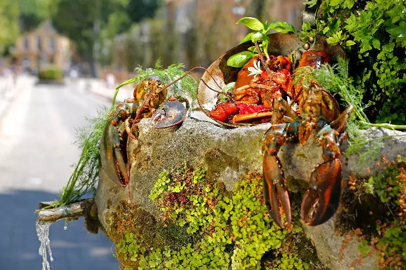 Fotos del hotel Negrecoste Hôtel & Spa:  5