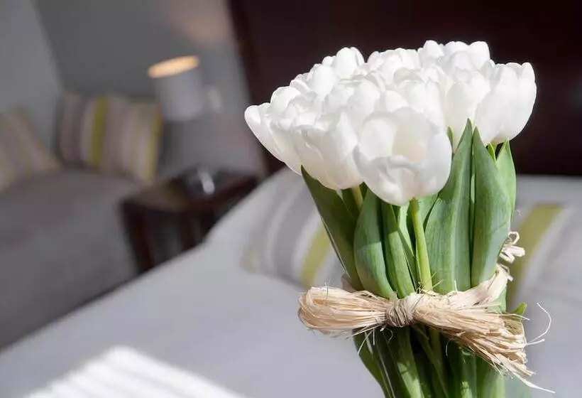 Fotos del hotel Hôtel Relais Acropolis:  6