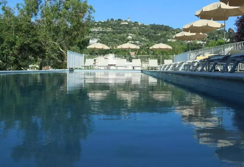 Fotos del hotel La Bastide De L'oliveraie:  2