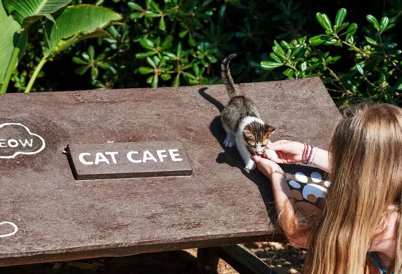 Fotos del hotel Agapi Beach Resort Premium All Inclusive:  4