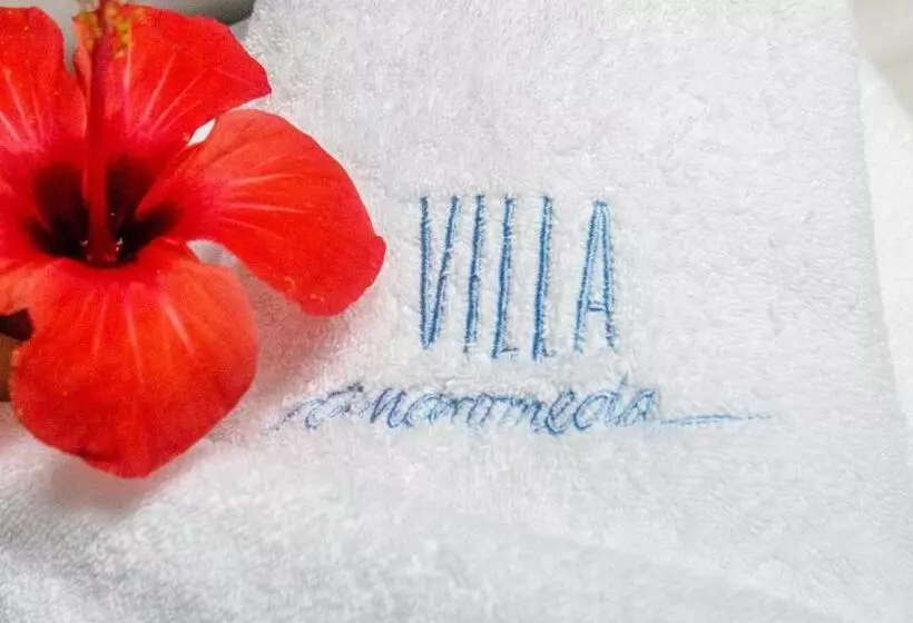 Fotos del hotel Villa Andromeda:  6