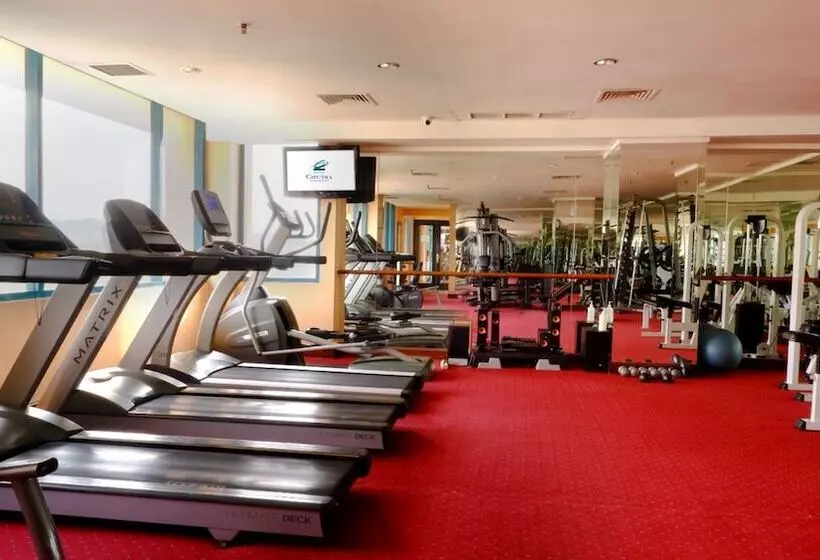 Fotos del hotel Ciputra Semarang Managed By Swissbel International:  11