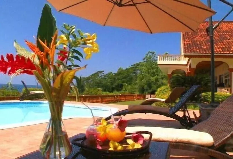Fotos del hotel Bay View Villa:  10