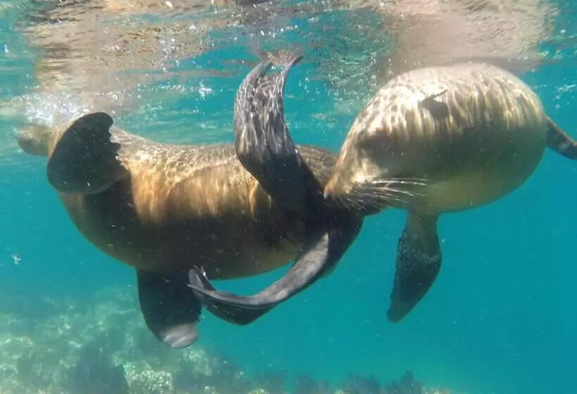 Fotos del hotel Club  Cantamar By The Beach:  12