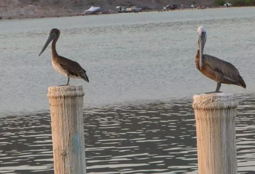 Fotos del hotel Club  Cantamar By The Beach:  25