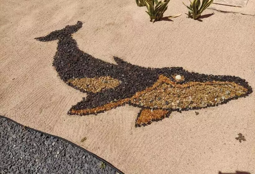 Fotos del hotel Club  Cantamar By The Beach:  8