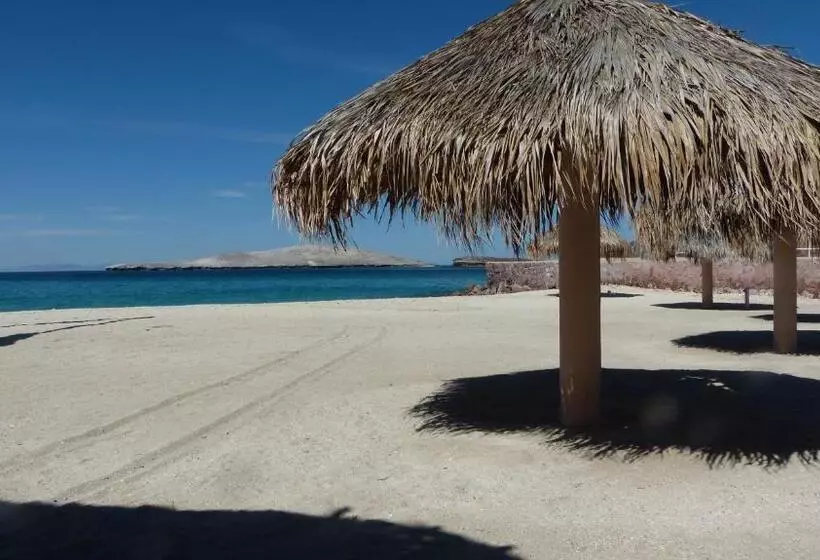 Fotos del hotel Club  Cantamar By The Beach:  15