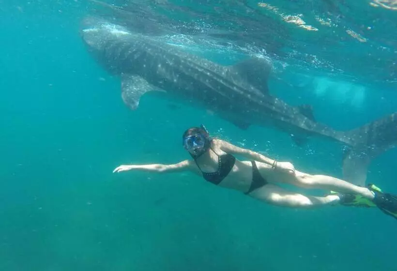 Fotos del hotel Club  Cantamar By The Beach:  18