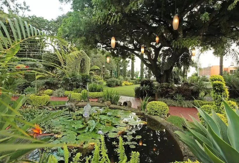 Fotos del hotel Villa Bejar Cuernavaca:  13