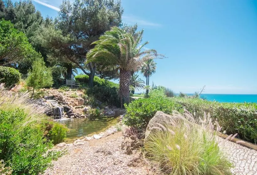 Fotos del hotel Boutique  Vivenda Miranda:  11