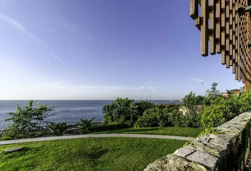 Fotos del hotel Solar Palmeiras:  11