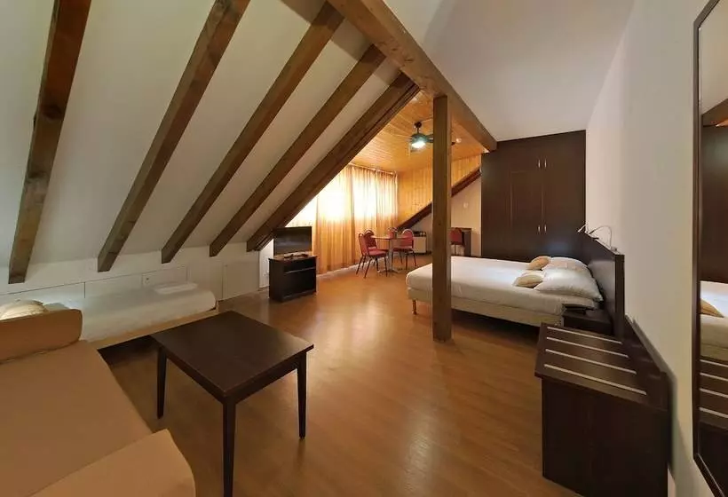 Fotos del hotel Calvy:  14