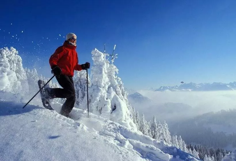 Fotos del hotel Renaissance Lucerne:  6
