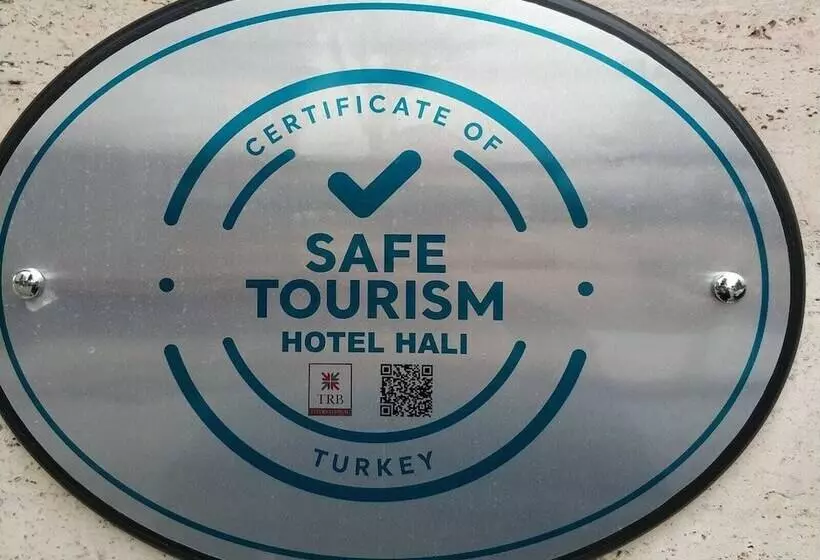 Fotos del hotel Hali:  8