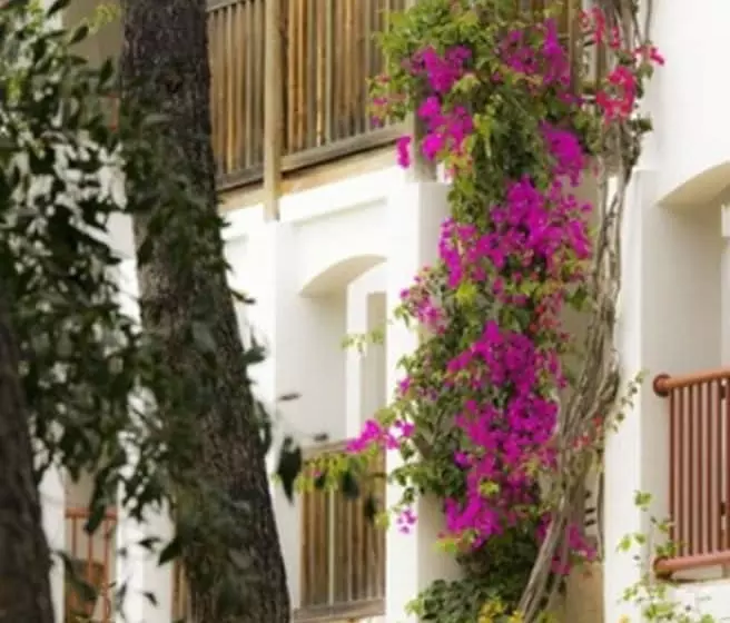 Fotos del hotel Hapimag Sea Garden Resort:  71