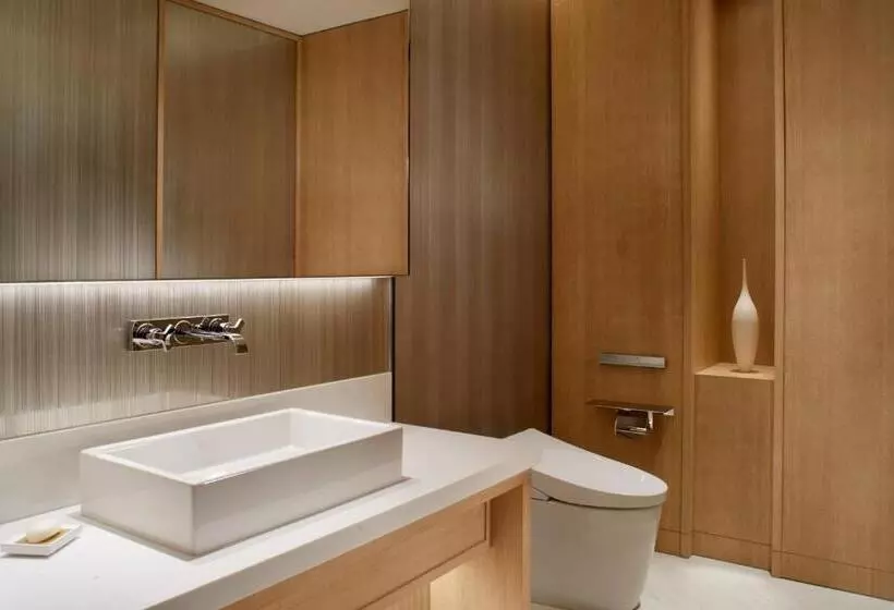 Fotos del hotel The Ritz-carlton, Xi'an:  16