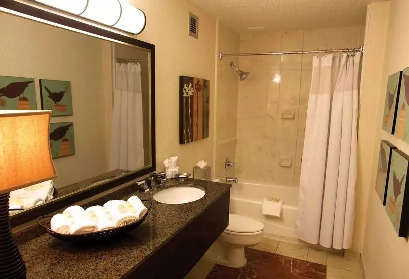 Fotos del hotel Sonesta Atlanta Airport North:  10