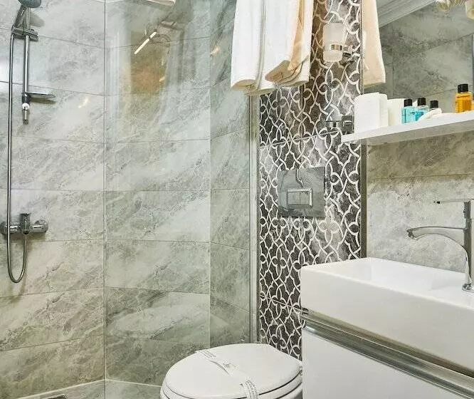 Fotos del hotel Beyazit Palace:  2