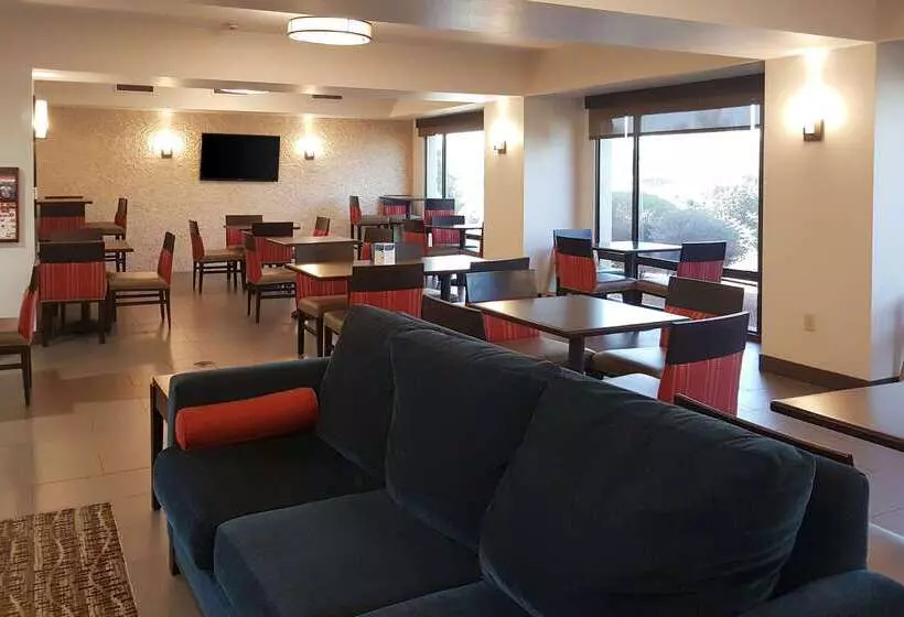 Fotos del hotel Comfort Inn I10 West At 51st Ave:  10