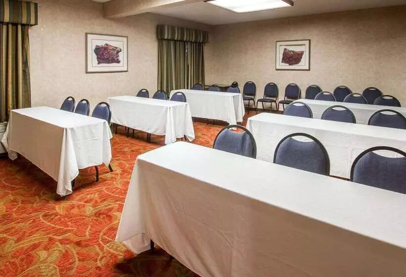 Fotos del hotel Comfort Inn I10 West At 51st Ave:  16