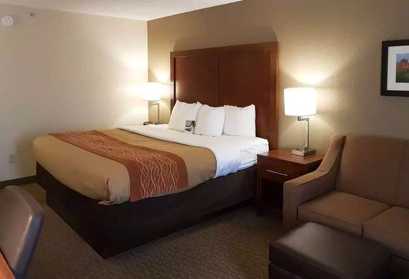 Fotos del hotel Comfort Inn I10 West At 51st Ave:  22