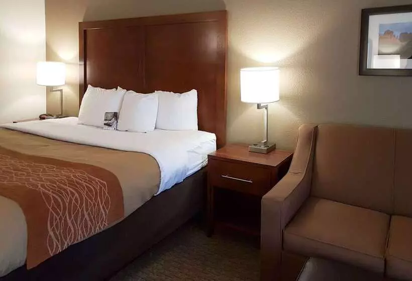 Fotos del hotel Comfort Inn I10 West At 51st Ave:  25