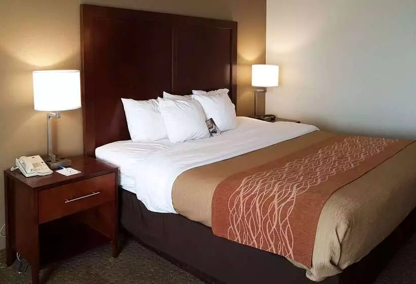 Fotos del hotel Comfort Inn I10 West At 51st Ave:  24