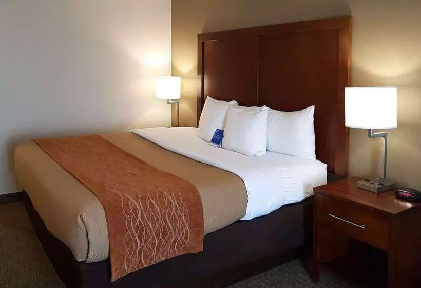 Fotos del hotel Comfort Inn I10 West At 51st Ave:  18