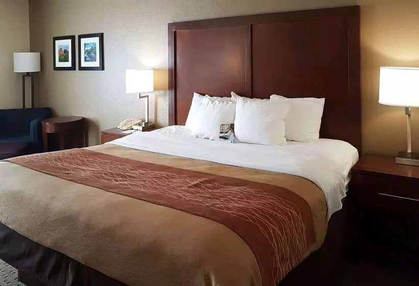 Fotos del hotel Comfort Inn I10 West At 51st Ave:  13