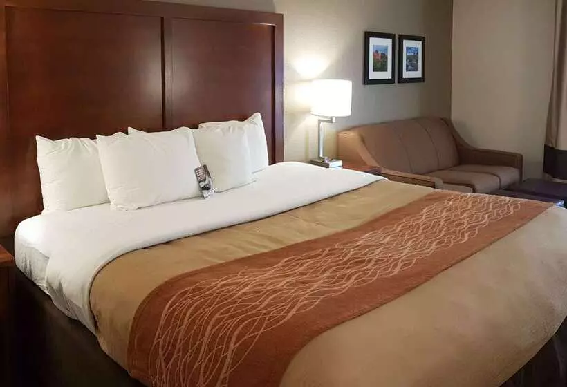 Fotos del hotel Comfort Inn I10 West At 51st Ave:  8