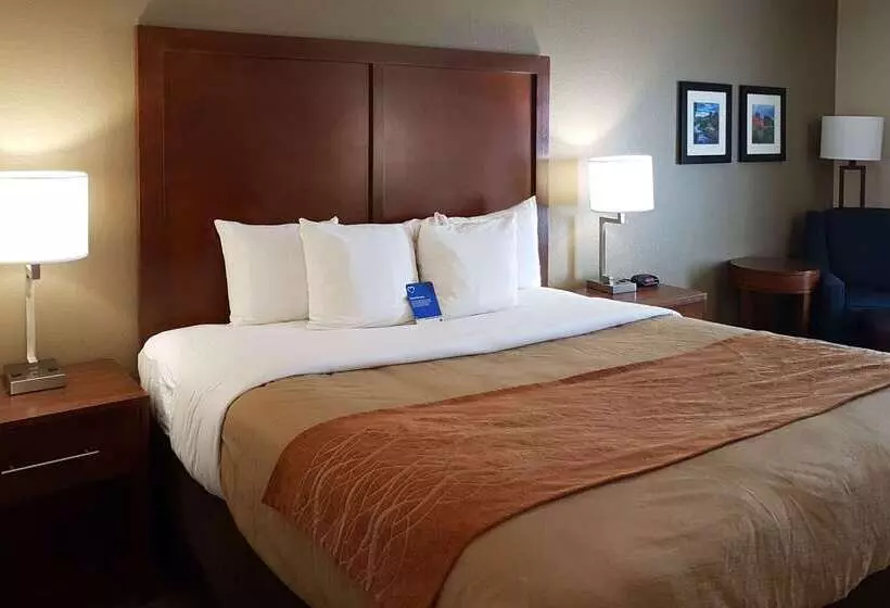 Comfort Inn I10 West At 51st Ave