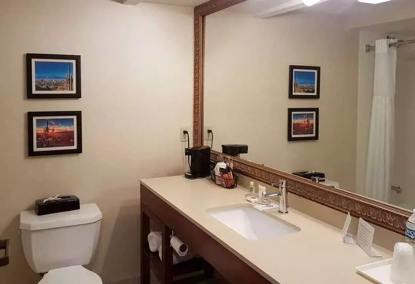 Fotos del hotel Comfort Inn I10 West At 51st Ave:  12