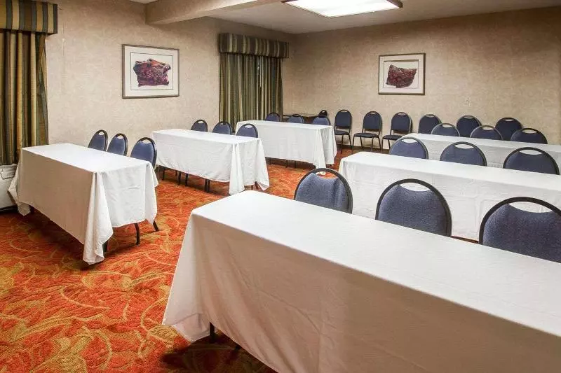 Fotos del hotel Comfort Inn I10 West At 51st Ave:  4