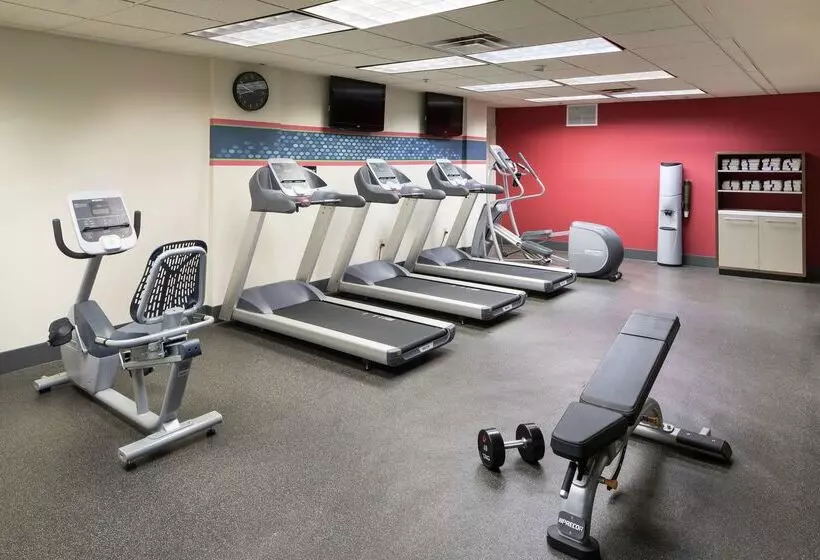 Fotos del hotel Hampton Inn & Suites Atlantadowntown:  4